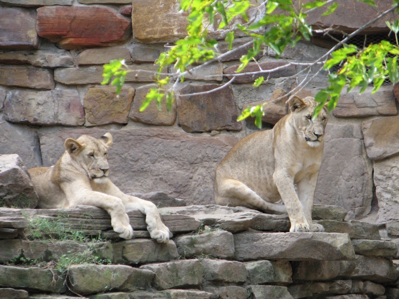 20100206 504.JPG